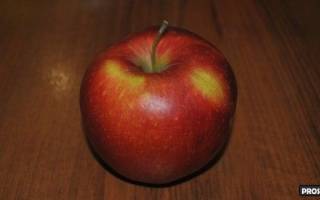 Как забивать кальян на яблоке
