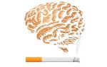 Влияние никотина на нервную систему человека