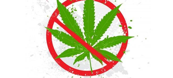 Что будет если бросить курить гашиш