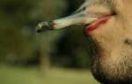 Курение травы влияние на организм мужчины