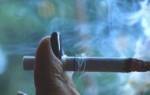 Чем можно заменить сигареты когда бросаешь курить