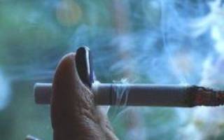 Чем можно заменить сигареты когда бросаешь курить