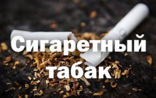 Лучший табак для сигарет