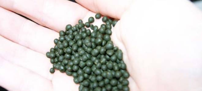 Насвай приравняли к наркотикам