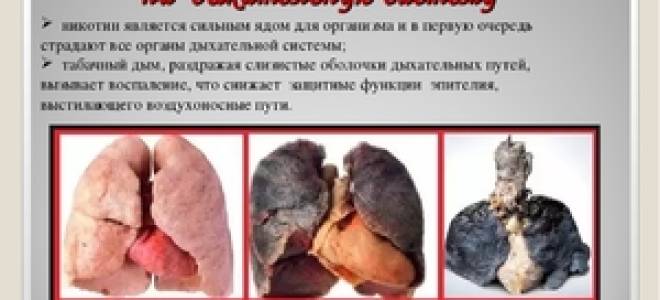 Влияние табака на организм человека