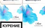 Самые легкие сигареты в россии марка