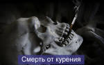 Статистика смертности в россии от курения
