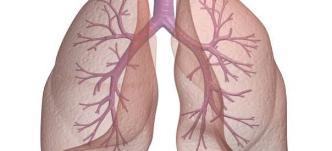 Как быстро восстановить легкие после курения