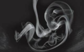 Первые недели беременности курение