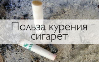 Какая польза от курения сигарет