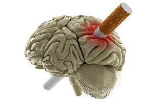 Как курение влияет на сосуды головного мозга