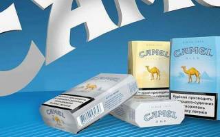 Camel все виды сигарет