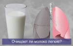 Очищает ли молоко легкие от никотина