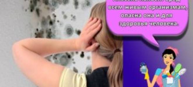 Как почистить трубку кальяна